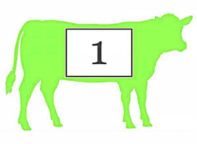 Grass Fed Custom Whole Beef deposit